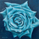 Turquoise Rose, Oil, 30 x 30cm