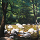 Mossman Gorge, Pastel, 75 x 90cm