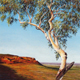 Outback Gum, Pastel, 32 x 63cm